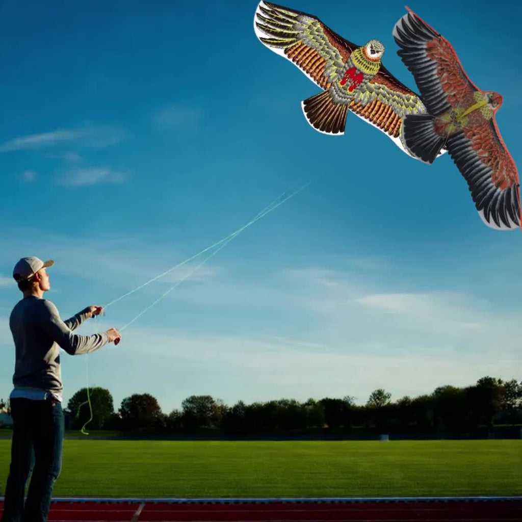 Cerf-volant Aigle Vibrant avec Ligne de 1181.1\