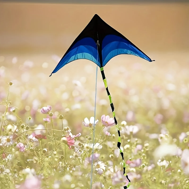 1pc Cerf-volant ¨¤ Queue Longue en Diamants D¨¦grad¨¦ de Couleurs - Polyester Durable pour Vol Ext¨¦rieur sur Plage, Parc, Prairie - ?ges 14+, Activit¨¦s de Plage | Design D¨¦grad¨¦ | Facile ¨¤ Voler, Accessoires de Plage