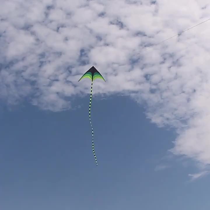 1pc Cerf-volant ¨¤ Queue Longue en Diamants D¨¦grad¨¦ de Couleurs - Polyester Durable pour Vol Ext¨¦rieur sur Plage, Parc, Prairie - ?ges 14+, Activit¨¦s de Plage | Design D¨¦grad¨¦ | Facile ¨¤ Voler, Accessoires de Plage