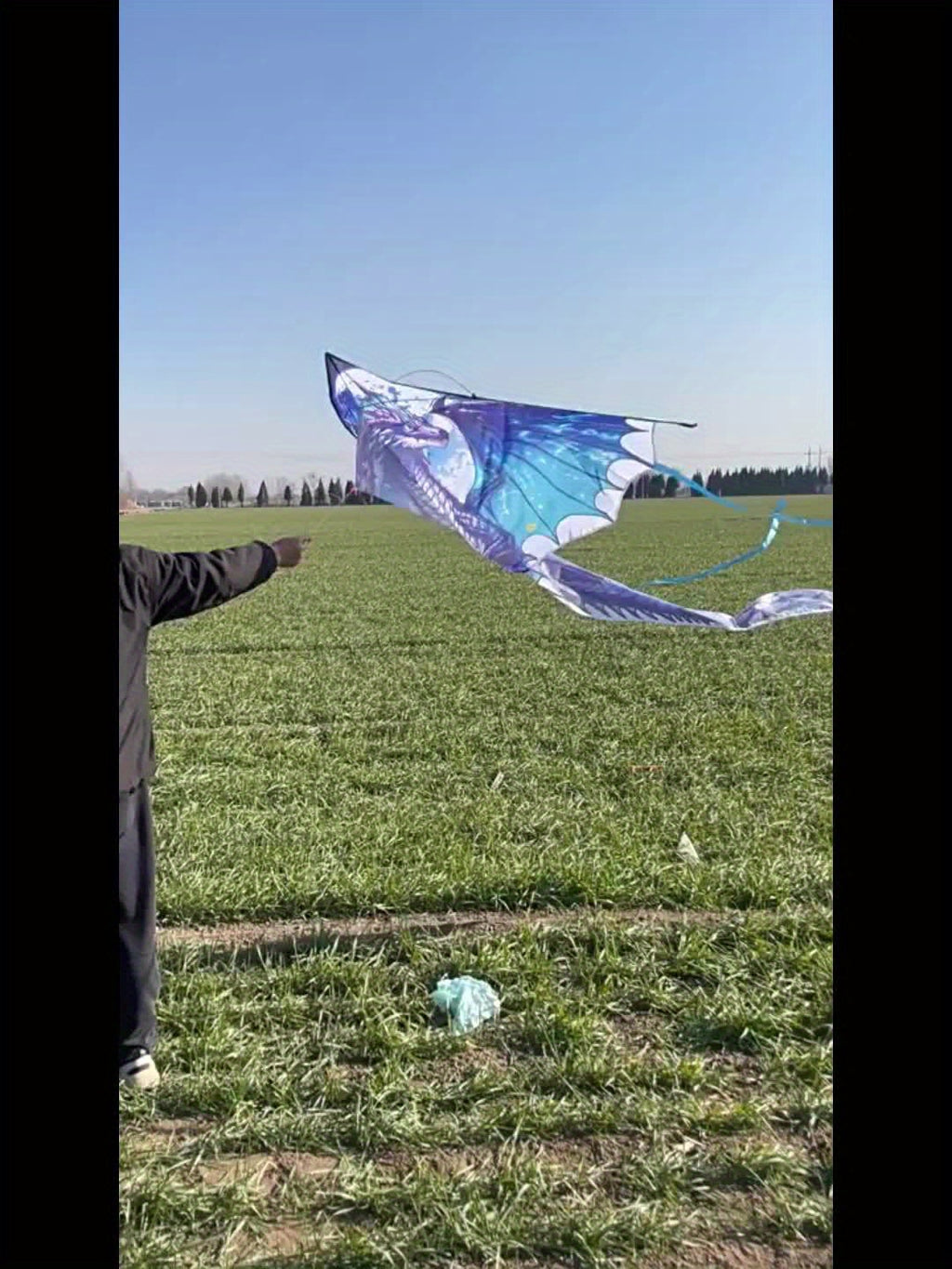 Cerf-volant Dragon de Glace Mystique - Coupe 3D, Polyester R¨¦sistant, Id¨¦al pour les Loisirs en Ext¨¦rieur (Plage & Parc), Cadeau Cr¨¦atif pour les F¨ºtes, Parfait pour No?l et Thanksgiving