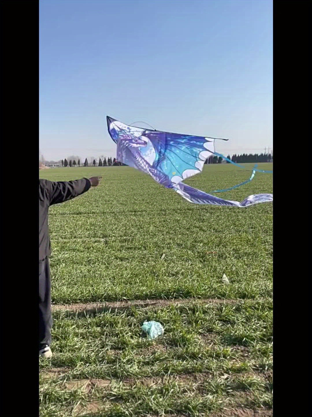 Cerf-volant Dragon de Glace Mystique - Coupe 3D, Polyester R¨¦sistant, Id¨¦al pour les Loisirs en Ext¨¦rieur (Plage & Parc), Cadeau Cr¨¦atif pour les F¨ºtes, Parfait pour No?l et Thanksgiving