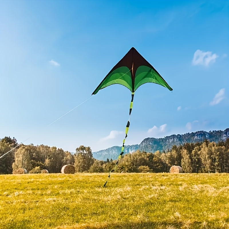 1pc Cerf-volant ¨¤ Queue Longue en Diamants D¨¦grad¨¦ de Couleurs - Polyester Durable pour Vol Ext¨¦rieur sur Plage, Parc, Prairie - ?ges 14+, Activit¨¦s de Plage | Design D¨¦grad¨¦ | Facile ¨¤ Voler, Accessoires de Plage