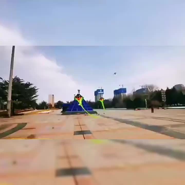 Cerf-volant G¨¦ant Cobra Vert avec Planche de Ligne Gratuite - Durable, Montage Facile pour le Plaisir en Ext¨¦rieur - Parfait pour le Jeu sur la Plage & au Parc, Cadeau Id¨¦al pour Halloween ou No?l, Meilleur pour No?l