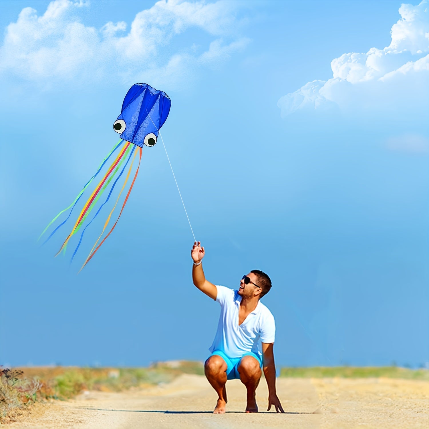 cerf-volant Pieuvre de 5 m¨¨tres\u002F4 m¨¨tres (outil de lacher inclus) Weifang avec Queue Color¨¦e Longue, Produit de Divertissement Sportif en Plein Air