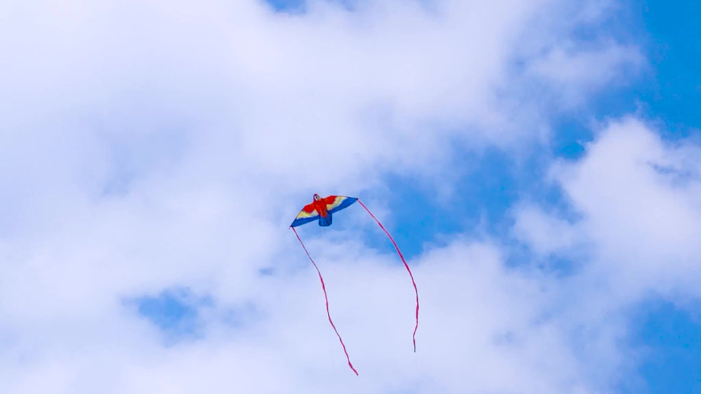Des cerfs-volants perroquets, des cerfs-volants dessin anim¨¦ faciles ¨¤ faire voler pour une activit¨¦ en plein air
