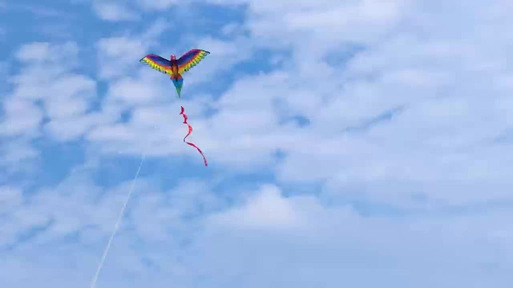 Cerf-volant perroquet 3D ¨¤ une seule ligne avec queue et poign¨¦e, con?u pour le vol en ext¨¦rieur, adapt¨¦ aux adultes.